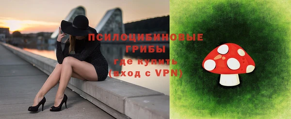 прущая мука Гусев