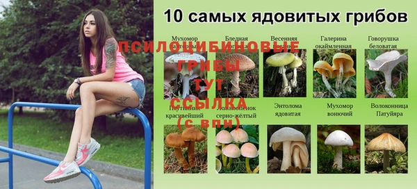 MESCALINE Гусиноозёрск