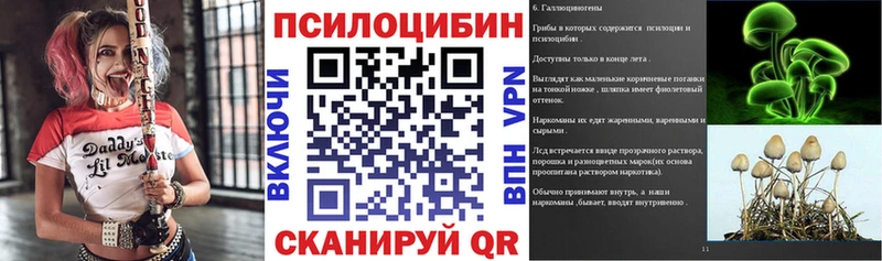 Купить закладки Славянск-на-Кубани Псилоцибиновые грибы GOLDEN TEACHER